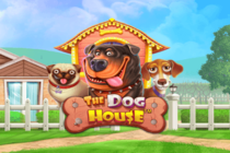 the dog house demo